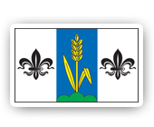 The village flag